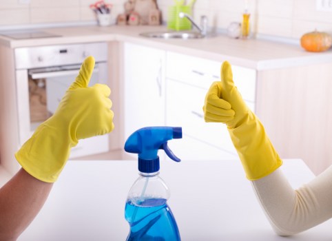 Carpet cleaners assessing a Covent Garden apartment for a transparent quote
