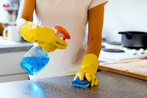Professional pet stain odour removal in a Covent Garden living room
