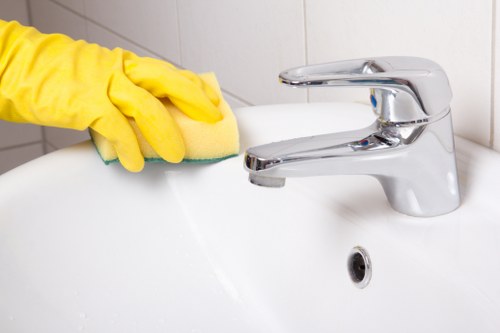Service checklist and payment details for carpet cleaning appointment