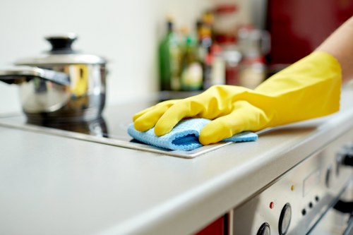 Professional hot water extraction cleaning a carpet