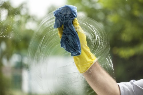 Professional carpet cleaning in Covent Garden with stain treatment